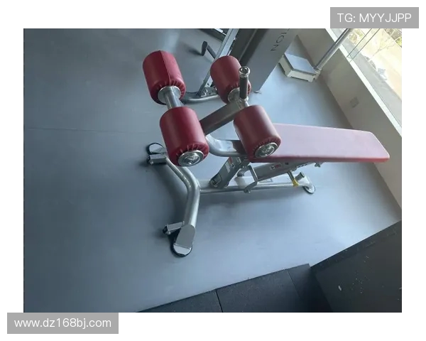 高效解决家用健身器材异响卡顿问题